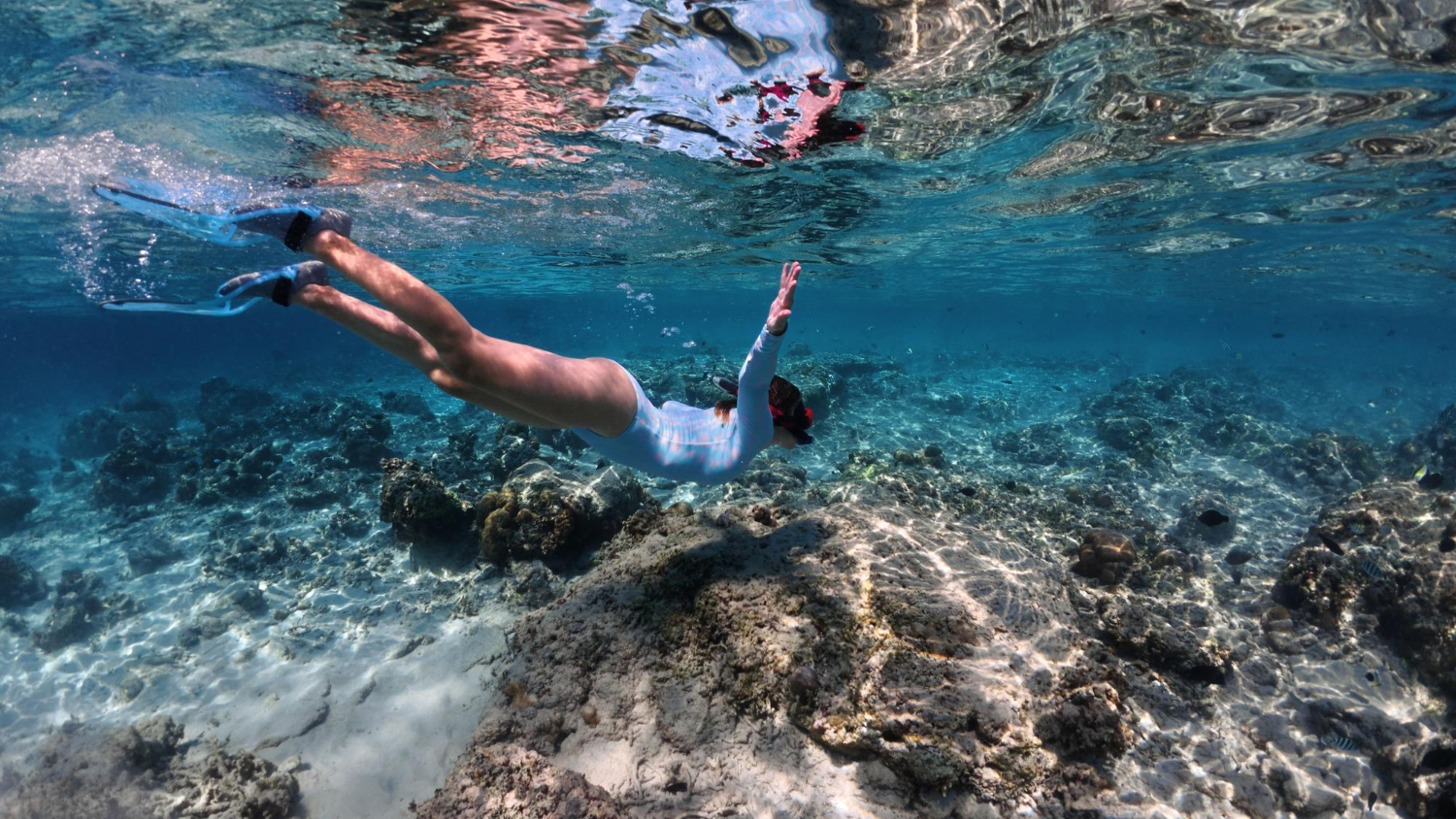 faire du snorkeling découverte