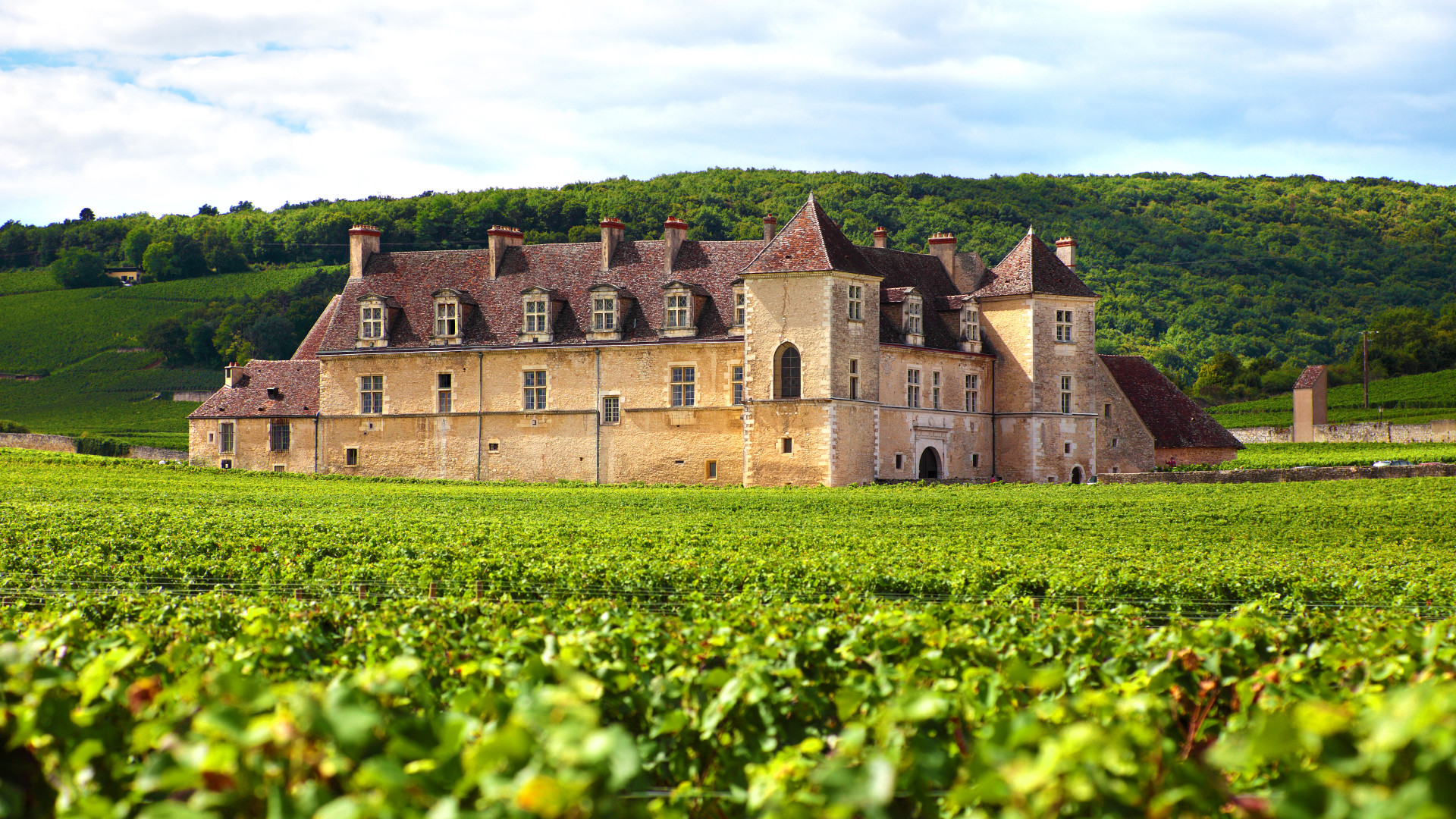 Circuit touristique à Sancerre : découvrez les trésors du Val de Loire
