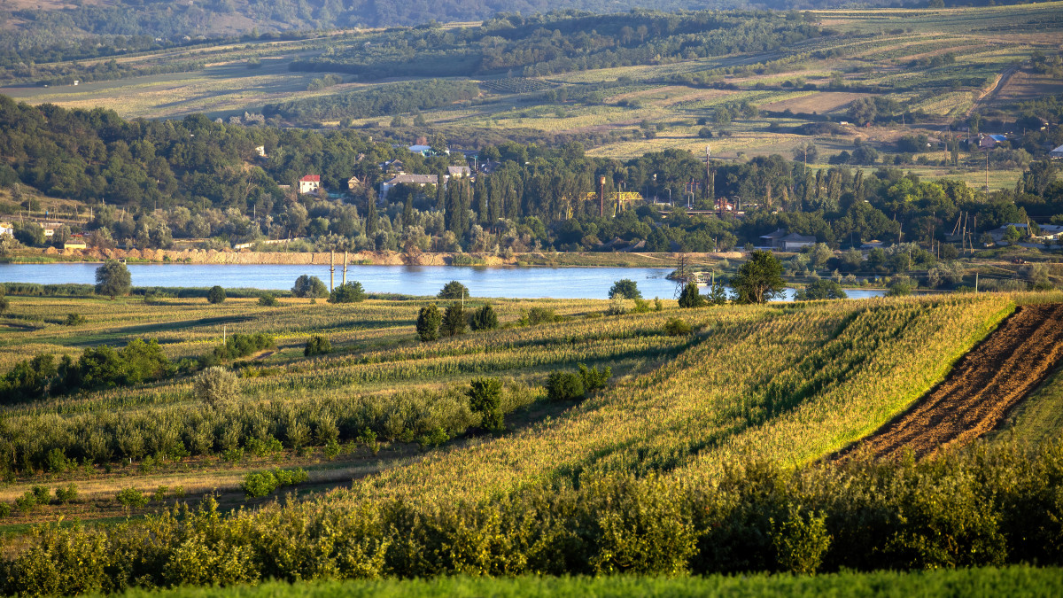 Paysages de la Loire